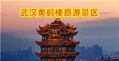 坤巴塞小洞小黄文软件免费