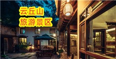 大鸡巴插逼视频。